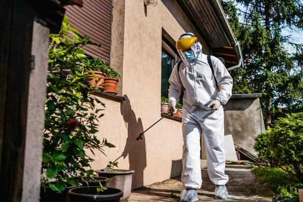 Best Affordable Pest Control Services  in Amerin Nyon, CA