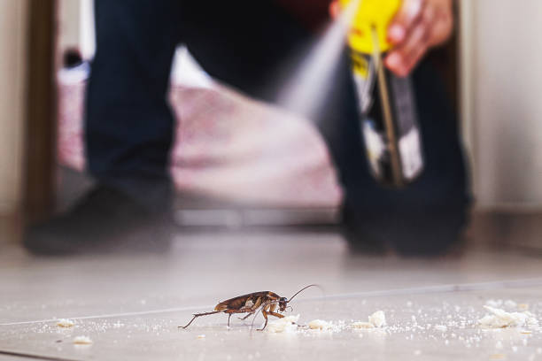 Best Exterminator Services  in Amerin Nyon, CA