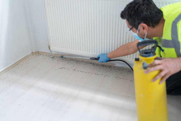 Best Bed Bug Extermination  in Amerin Nyon, CA