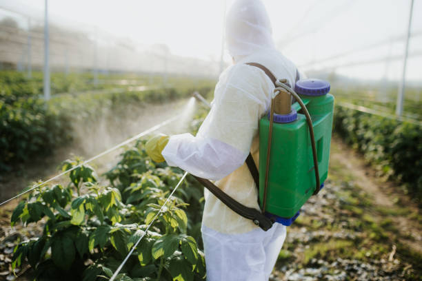 Best Emergency Pest Control  in Amerin Nyon, CA